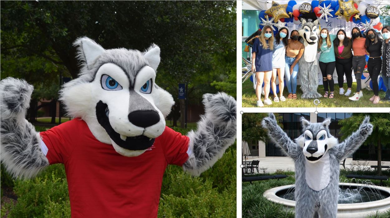 Mascot Appearance Request Form